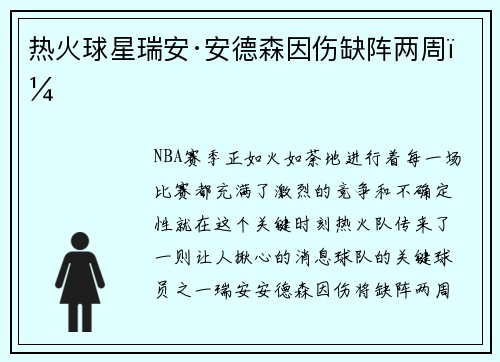 热火球星瑞安·安德森因伤缺阵两周！